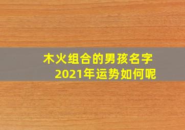 木火组合的男孩名字2021年运势如何呢