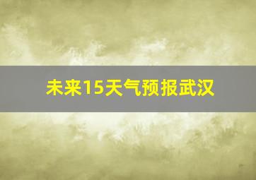 未来15天气预报武汉