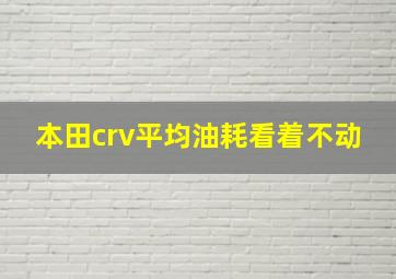 本田crv平均油耗看着不动