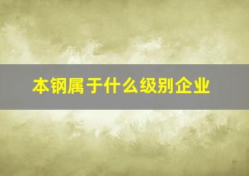 本钢属于什么级别企业