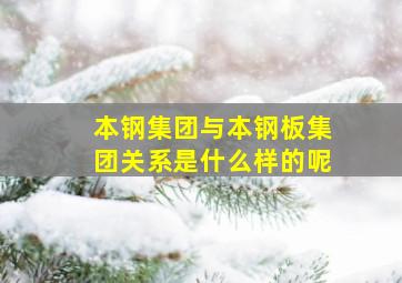 本钢集团与本钢板集团关系是什么样的呢