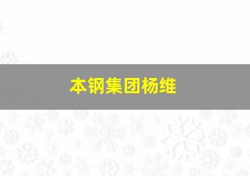 本钢集团杨维