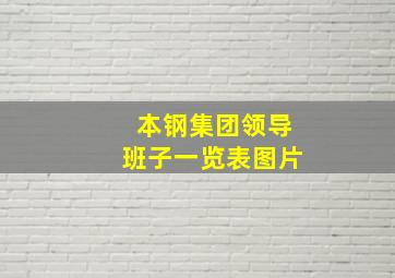 本钢集团领导班子一览表图片