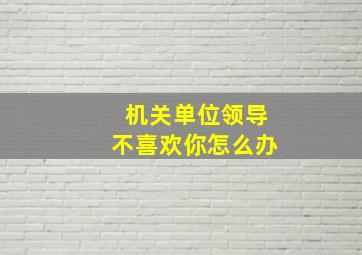 机关单位领导不喜欢你怎么办