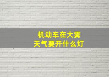 机动车在大雾天气要开什么灯