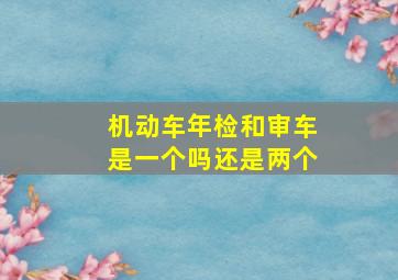 机动车年检和审车是一个吗还是两个