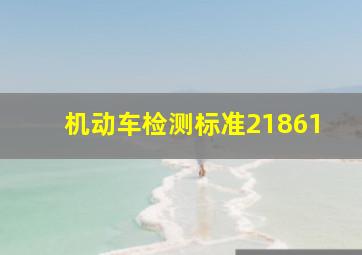 机动车检测标准21861