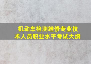 机动车检测维修专业技术人员职业水平考试大纲