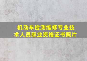 机动车检测维修专业技术人员职业资格证书照片