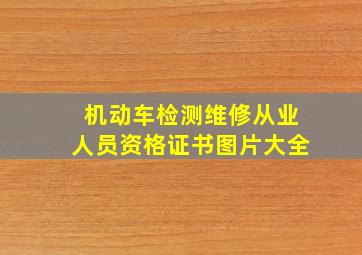 机动车检测维修从业人员资格证书图片大全