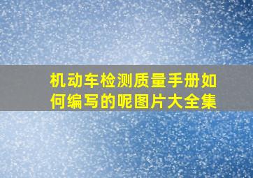 机动车检测质量手册如何编写的呢图片大全集