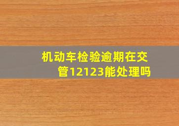 机动车检验逾期在交管12123能处理吗