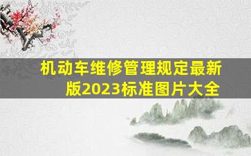 机动车维修管理规定最新版2023标准图片大全