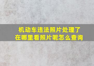 机动车违法照片处理了在哪里看照片呢怎么查询