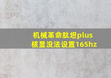 机械革命肽坦plus核显没法设置165hz