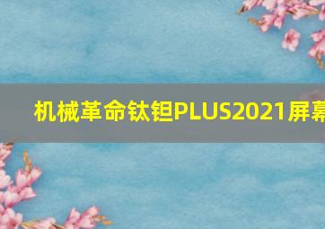 机械革命钛钽PLUS2021屏幕