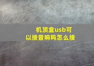 机顶盒usb可以接音响吗怎么接