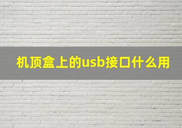 机顶盒上的usb接口什么用