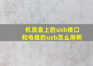 机顶盒上的usb接口和电视的usb怎么用啊