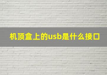 机顶盒上的usb是什么接口