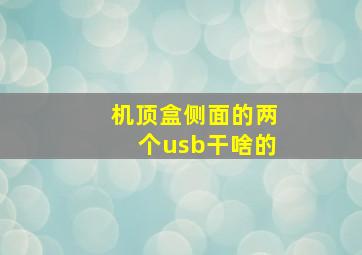 机顶盒侧面的两个usb干啥的