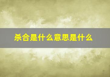 杀合是什么意思是什么