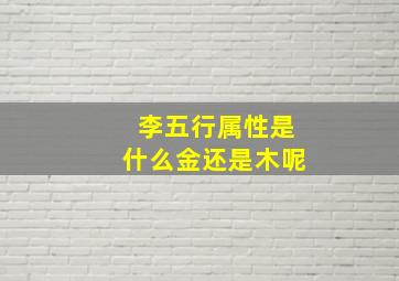 李五行属性是什么金还是木呢