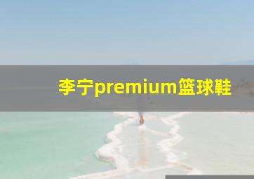 李宁premium篮球鞋