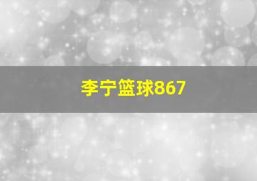 李宁篮球867