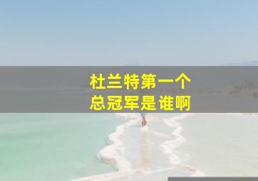 杜兰特第一个总冠军是谁啊