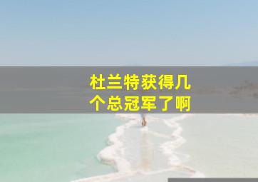 杜兰特获得几个总冠军了啊