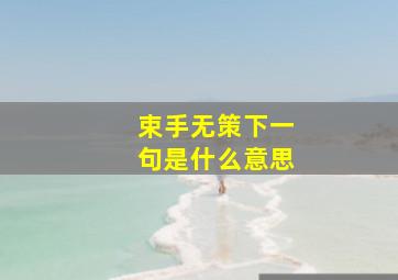 束手无策下一句是什么意思