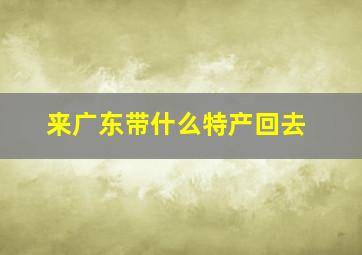 来广东带什么特产回去