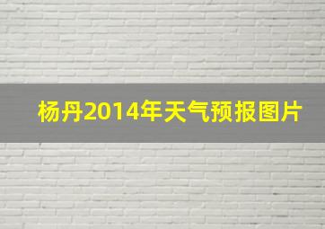 杨丹2014年天气预报图片