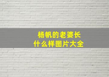 杨帆的老婆长什么样图片大全