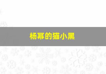 杨幂的猫小黑