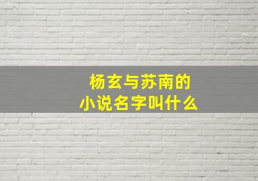 杨玄与苏南的小说名字叫什么