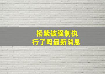 杨紫被强制执行了吗最新消息