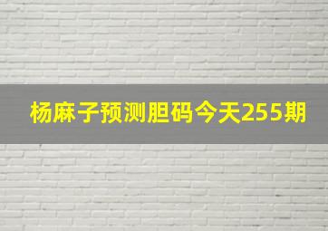 杨麻子预测胆码今天255期