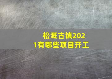 松溉古镇2021有哪些项目开工