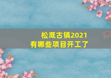 松溉古镇2021有哪些项目开工了