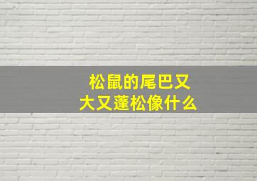 松鼠的尾巴又大又蓬松像什么