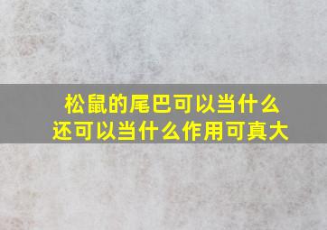 松鼠的尾巴可以当什么还可以当什么作用可真大