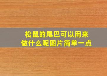 松鼠的尾巴可以用来做什么呢图片简单一点