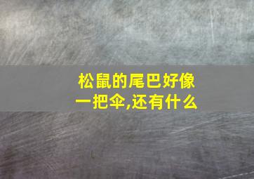 松鼠的尾巴好像一把伞,还有什么