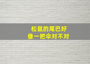 松鼠的尾巴好像一把伞对不对