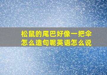 松鼠的尾巴好像一把伞怎么造句呢英语怎么说