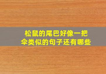 松鼠的尾巴好像一把伞类似的句子还有哪些