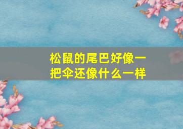 松鼠的尾巴好像一把伞还像什么一样