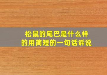 松鼠的尾巴是什么样的用简短的一句话诉说